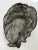 Victorian Renaissance Revival Lion Fountain Outdoor Spout Finial Sculpture British, Circa 1890 For Sale - Image 4 of 16