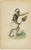 European School Artist, Pacific Islanders & Polynesian Costume, 1852, Print, Set of 10 For Sale - Image 10 of 13