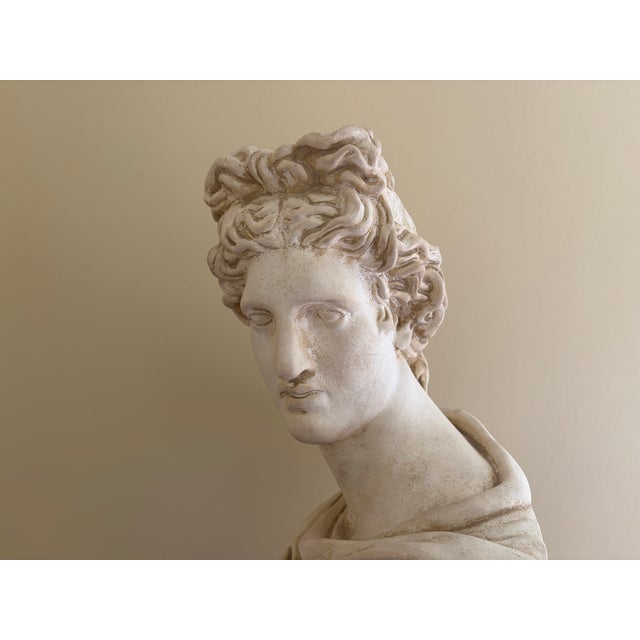 Late 20th Century Large Neoclassical Plaster Bust of Apollo Belvedere For Sale - Image 9 of 12