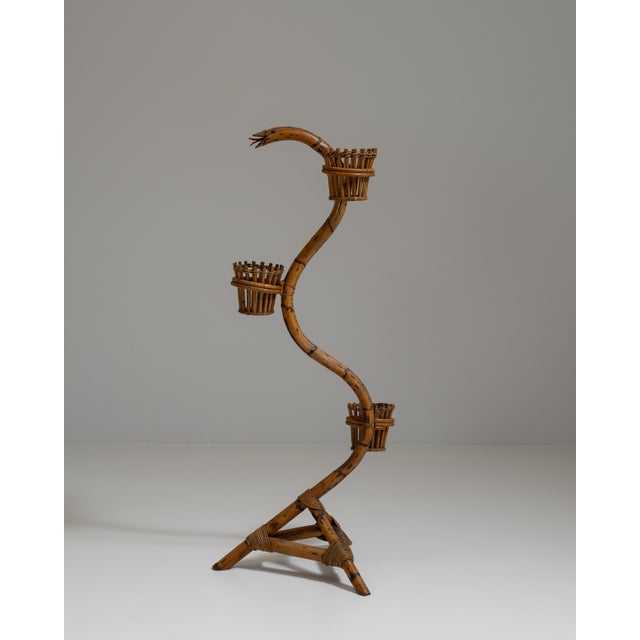 1960s French Amber Bamboo And Rattan Snake Plant Stand For Sale - Image 4 of 15