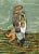 Title: Untitled 1 Artist: Graciela Rodo Boulanger Country: Bolivia Medium: Original Lithograph Marks: Signed in plate, not...