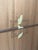 Vintage Mid Century Modern Belgian Bookcase Cabinet With Adjustable Shelves For Sale - Image 9 of 10