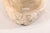 Carved and Polished Onyx Sink Basin in Cream Color For Sale - Image 9 of 12