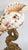 Seashell Shell Sculpture Specimen on Antique Koi Fish For Sale - Image 9 of 10