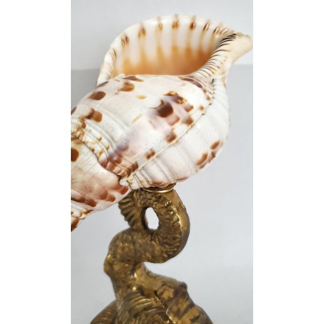 Seashell Shell Specimen Sculpture on Antique Brass Koi Fish Base For Sale - Image 9 of 10