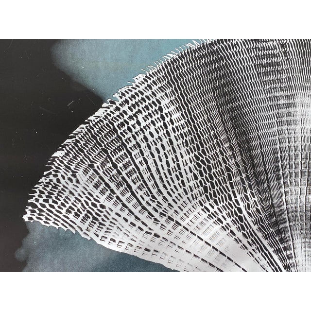 Modern Heinz Mack, Wings and Cloud, 1972, Screen Print For Sale - Image 3 of 12