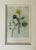 Antique Hand-Colored Lithograph, "The Northern Chickadee"C. 1853 For Sale - Image 10 of 11