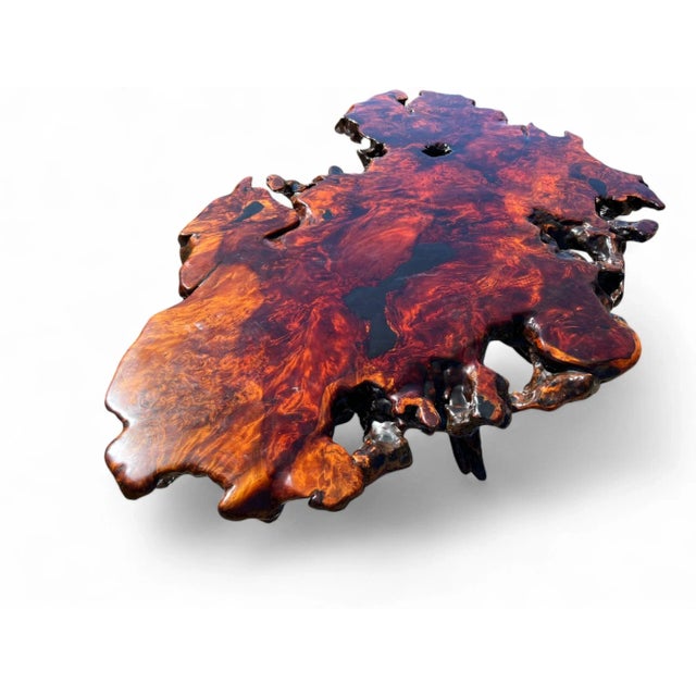 Redwood Live Edge Coffee Table Figured & Burlwood Slab, Western Red Sedar Root Stump For Sale - Image 4 of 17