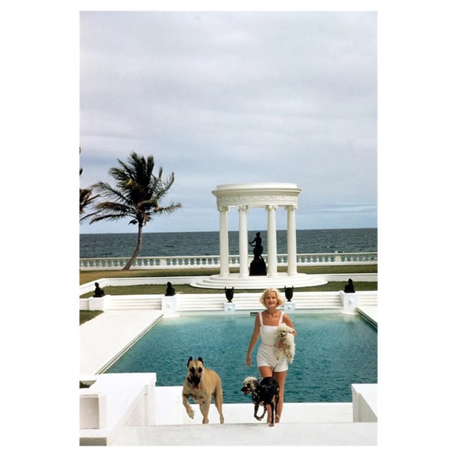 Slim Aarons, Czs Dogs, Estate Stamped Photographic Print, 1955 / 2020s For Sale