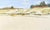 Early 21st Century Andris Gutmanis, Dunes of Carnikava, 2022, Oil Painting on Canvas For Sale - Image 5 of 5