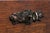 Brown Antique Arts & Crafts Diminutive Mission Oak Smoking Cabinet For Sale - Image 8 of 13