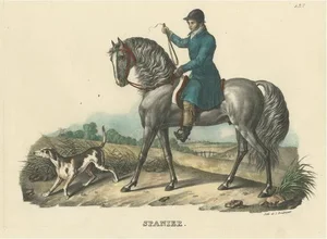 H.R. Schinz, Spanish Horse, 1827, Paper