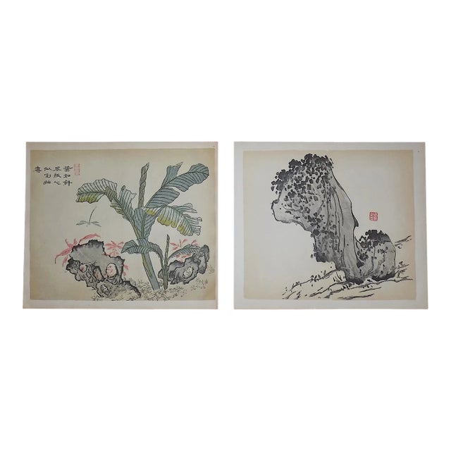 Vintage Signed Chinese Botanical Color Lithographs - a Pair For Sale