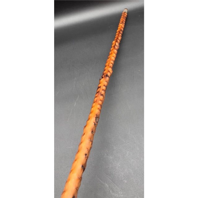 Late 19th Century Antique Victorian Brussel Sprout Stalk Walking Stick, Sterling Silver Adornment For Sale - Image 5 of 17