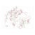 Ivy Attwell Botanical Watercolor For Sale