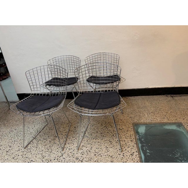 Chrome-Plated Side Chairs by Harry Bertoia for Knoll, 1970s, Set of 4, in Good conditions. Designed 1950 to 1959 I have...