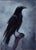 Crow by Ximena Rendon | Oil on panel Black crow silhouette against a gray background. For Sale