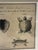 Early 21st Century Natural Curiosities Large French 1765 Sea Turtle Natural History Study Reproduction Print, Framed For Sale - Image 5 of 10