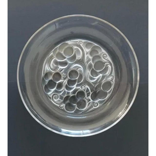 Brunch Plates by Rene Lalique, France, 1927, Set of 6 For Sale - Image 6 of 7