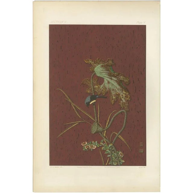 The Harmony of Nature, 1884, Paper For Sale - Image 6 of 6