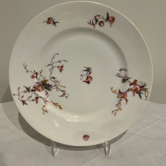 Haviland pattern H1252. 9 1/2” Dinner plate. Total of 11 pieces