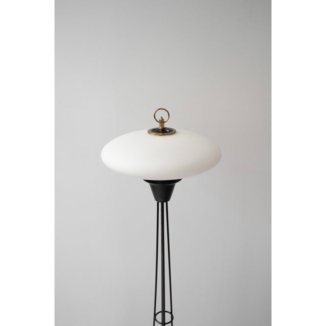 Mid-Century Modern Italian Floor Lamp from Stilnovo, 1950s For Sale - Image 9 of 9