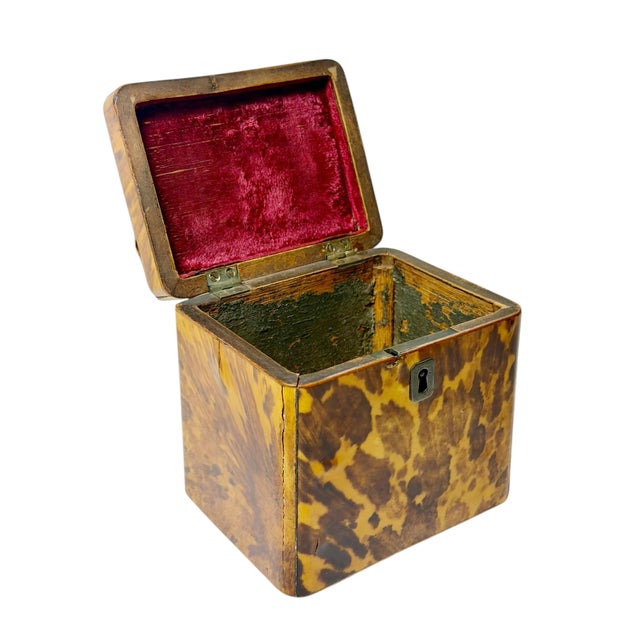 Mid 19th Century Regency Faux Tortoiseshell Box With Sterling Silver Details For Sale - Image 10 of 11