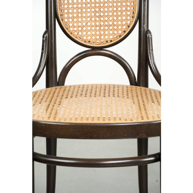 Vintage Long John Webbing Dining Chairs from Thonet, Set of 4 For Sale - Image 11 of 14