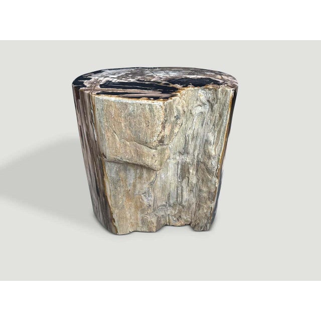 "Impressive striking tones and textures on this ancient petrified wood side table. It’s fascinating how Mother Nature...