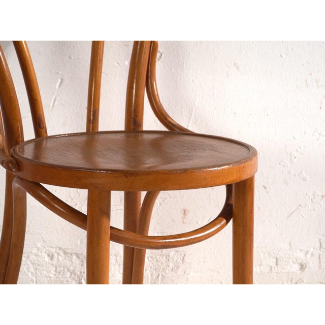 Brown Chairs in Bentwood, Central Europe, 1930, Set of 2 For Sale - Image 8 of 14