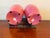 Glass Large, Hand Painted, Pair of Bristol Glass Vases, Late 1800s For Sale - Image 7 of 8