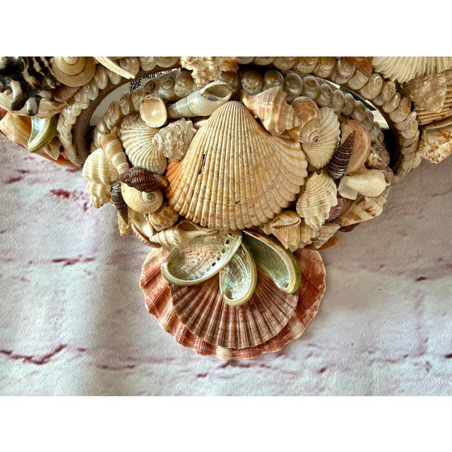 Vintage Pair of Shell-Encrusted Wall Sconces For Sale - Image 12 of 13