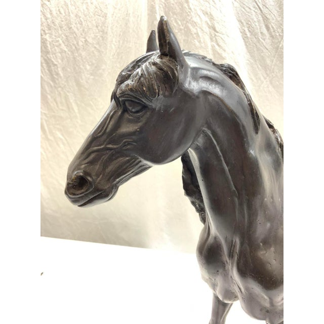 Antique Ex Du Pont Bronze Horse Sculpture For Sale In New York - Image 6 of 7