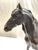 Antique Ex Du Pont Bronze Horse Sculpture For Sale In New York - Image 6 of 7