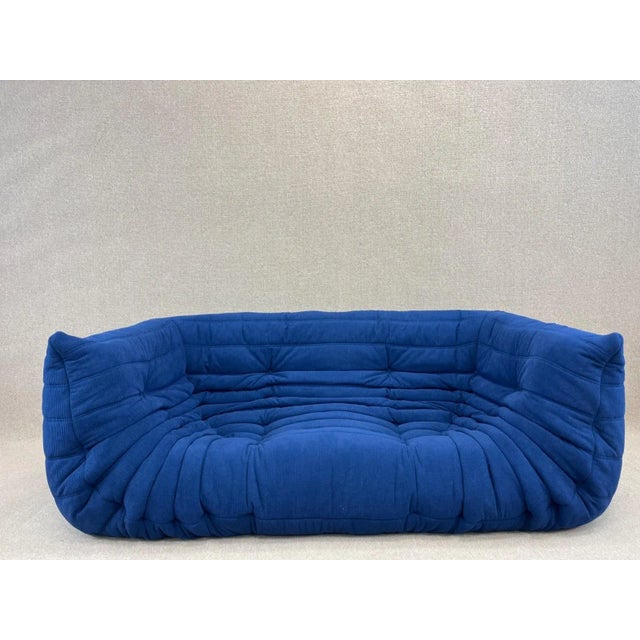 Blue Togo 2-Seater Sofa with Arms from Ligne Roset, 2006s For Sale - Image 17 of 17