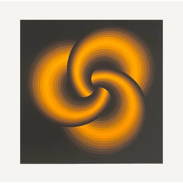 1975 Patrice Allart Interlaces Op Art Screen Print For Sale