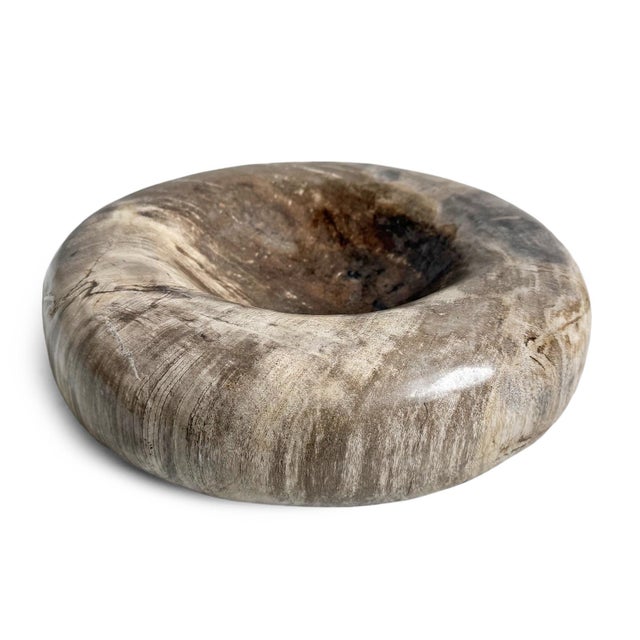 Vintage Petrified Wood Organic Modern Decorative Bowl For Sale In Los Angeles - Image 6 of 8