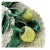 McCall Green Yellow Ceramic Fruits Wall Pocket Décor For Sale In San Francisco - Image 6 of 7