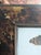 Vintage Taxidermy Butterflies Framed in an Oil Drop Frame For Sale - Image 9 of 14