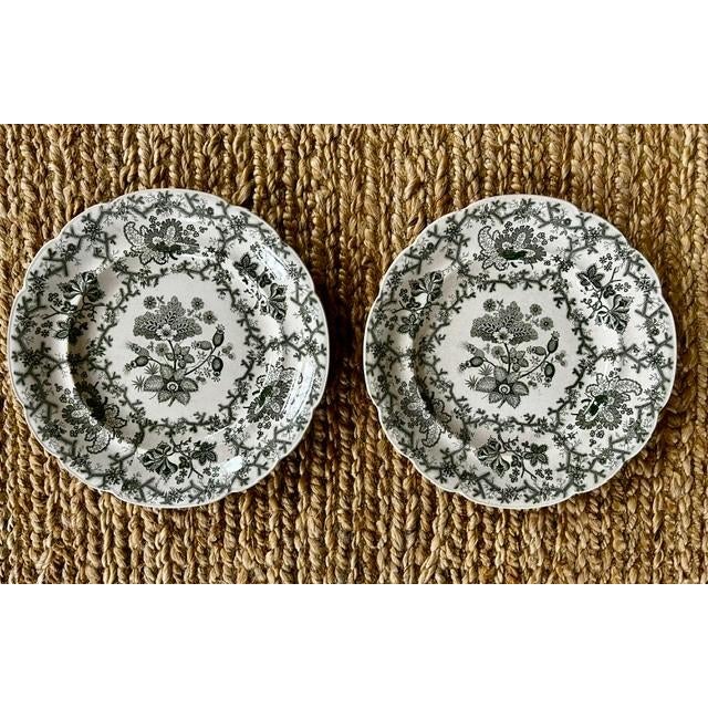 Antique Wedgewood 'Coral Border' Green Transferware 10" Dinner Plates - Set of 12 For Sale In New York - Image 6 of 14