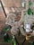 French Vintage Mid Century Bagues Style Petite Chandelier For Sale - Image 3 of 11