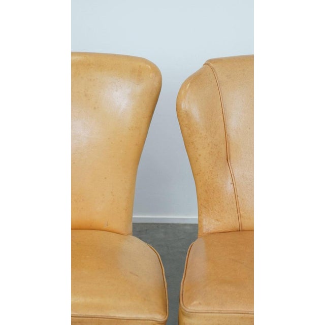 Honey-Colored Goatskin Dining Room Chairs, Set of 4 For Sale - Image 12 of 13