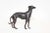 1990s Cast Metal Greyhound Dog Sculpture For Sale - Image 5 of 12