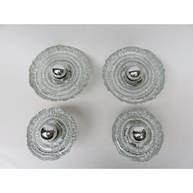 Mid-Century Wall Lamps from Peill & Putzler, Set of 4 For Sale - Image 12 of 12