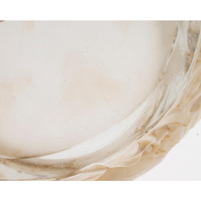 Dinard Box by René Lalique, 1927 For Sale - Image 6 of 7