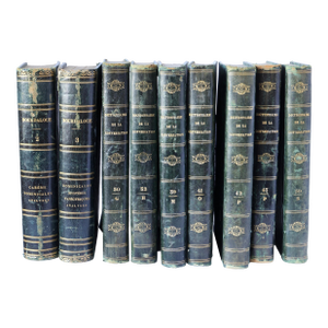Mid-19th-Century French Leather Wrapped "Dictionnaire De La Conversation" Books - Set of 9