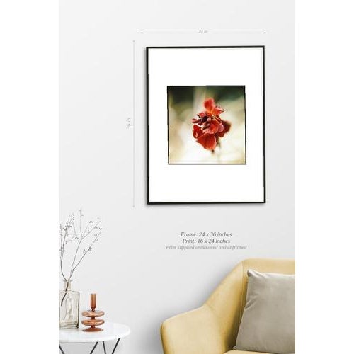 Fine art Giclee prints on Hahnemuhle Photo Rag 308gsm - a 100% cotton, acid-free, mould-made paper. Printed to Fine Art...