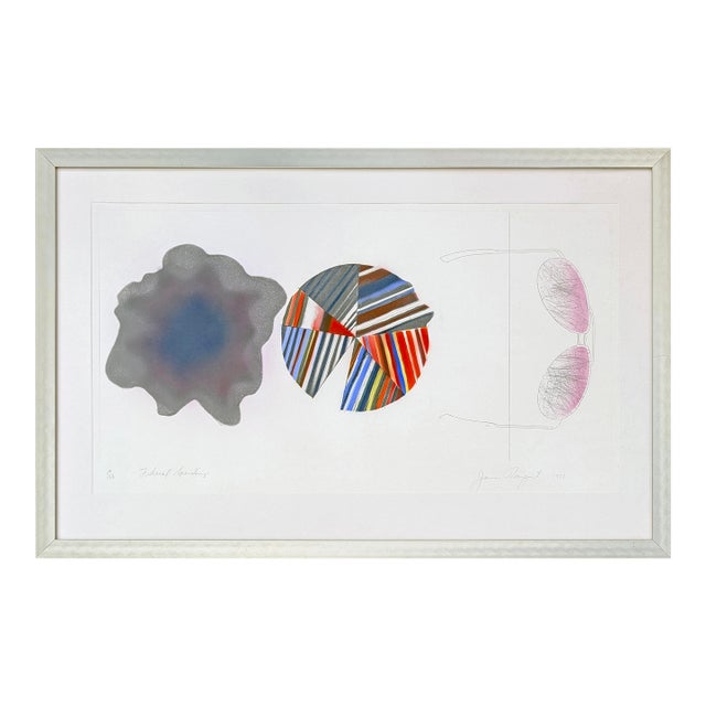 James Rosenquist, Federal Spending (Large Framed Hand Signed Aquatint Etching), 1978 For Sale