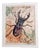 Ceramic Stag Tile by Staffan Johnsson for Jie Gantofta, 1980s For Sale
