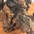 Vintage 7 Wooden Birds on Carved Burl Wood Sculpture For Sale - Image 11 of 12